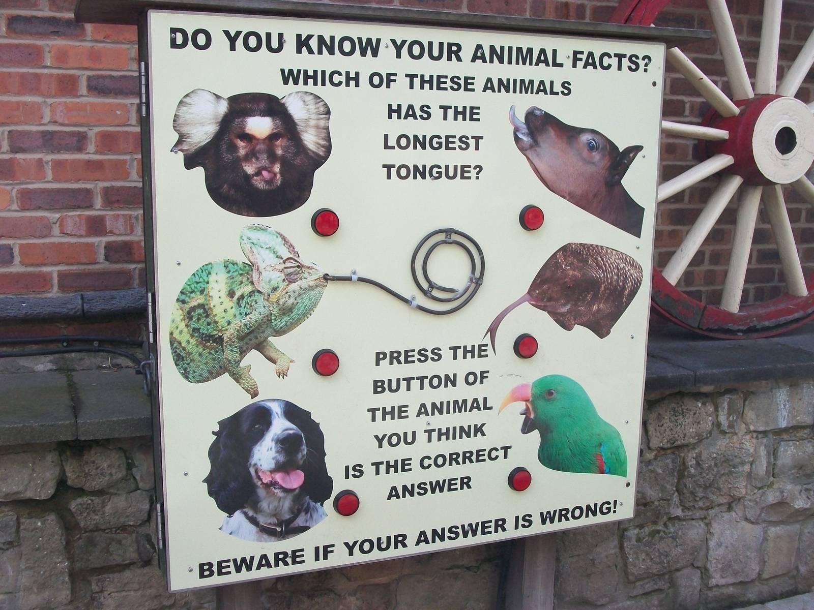 Question board, 3rd August 2012