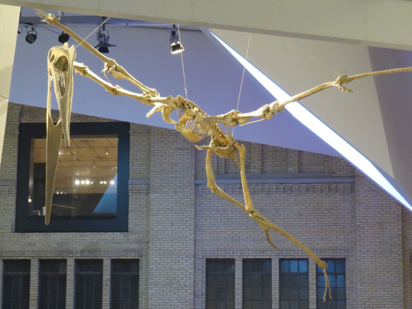 Quetzalcoatlus