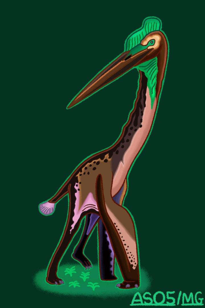 Quetzalcoatlus