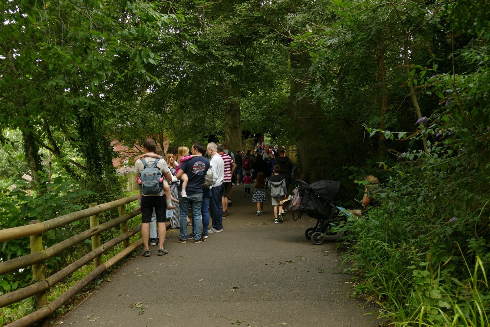 Queue for the Ape House, August 2021