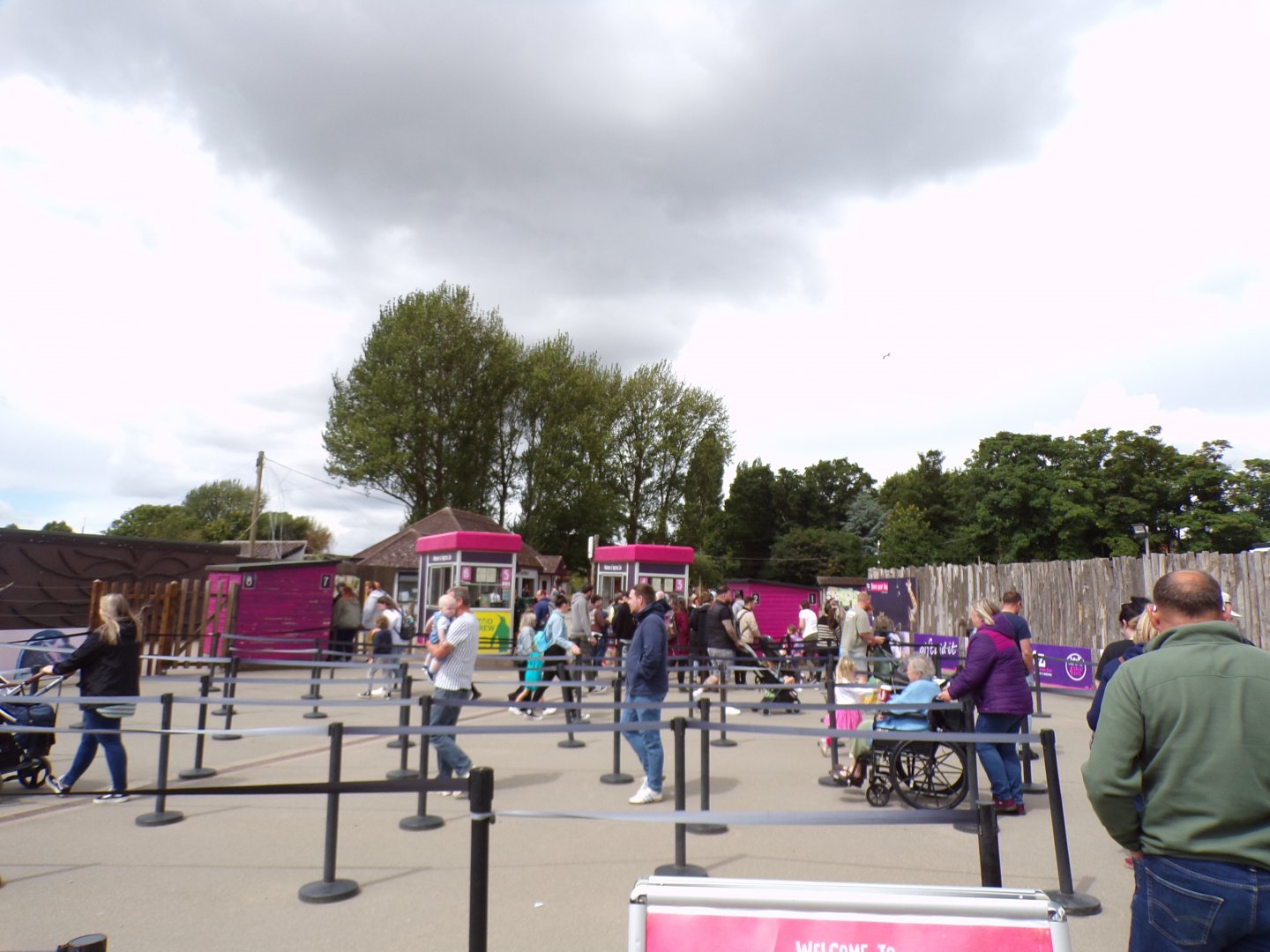 Queue into the zoo 7.7.24