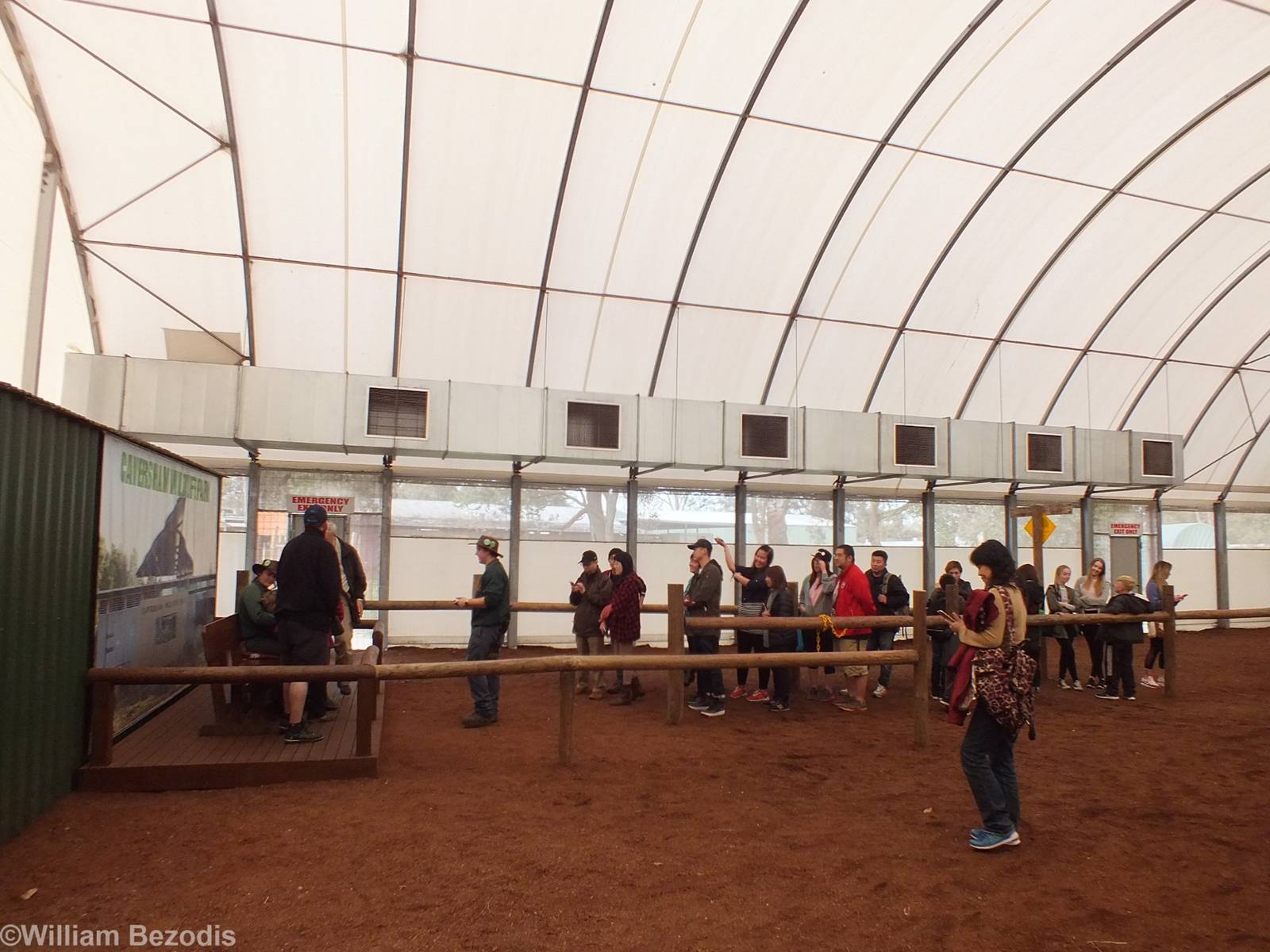 Queue to Hold a Wombat in the 'Meet the Wombat and Friends' Show - Caversha