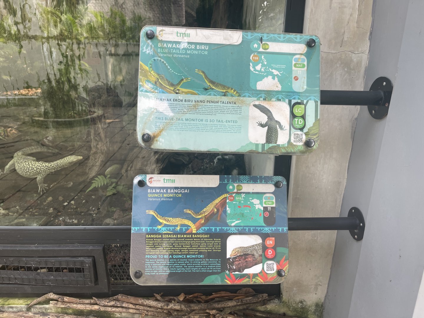 quince & blue-tailed monitor signage - museum komodo