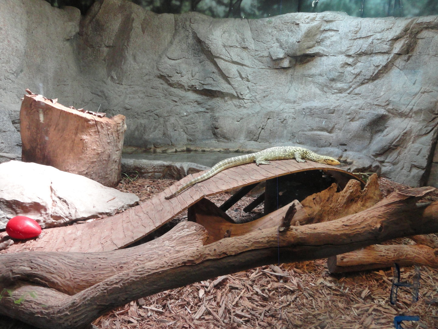 Quince Monitor Exhibit
