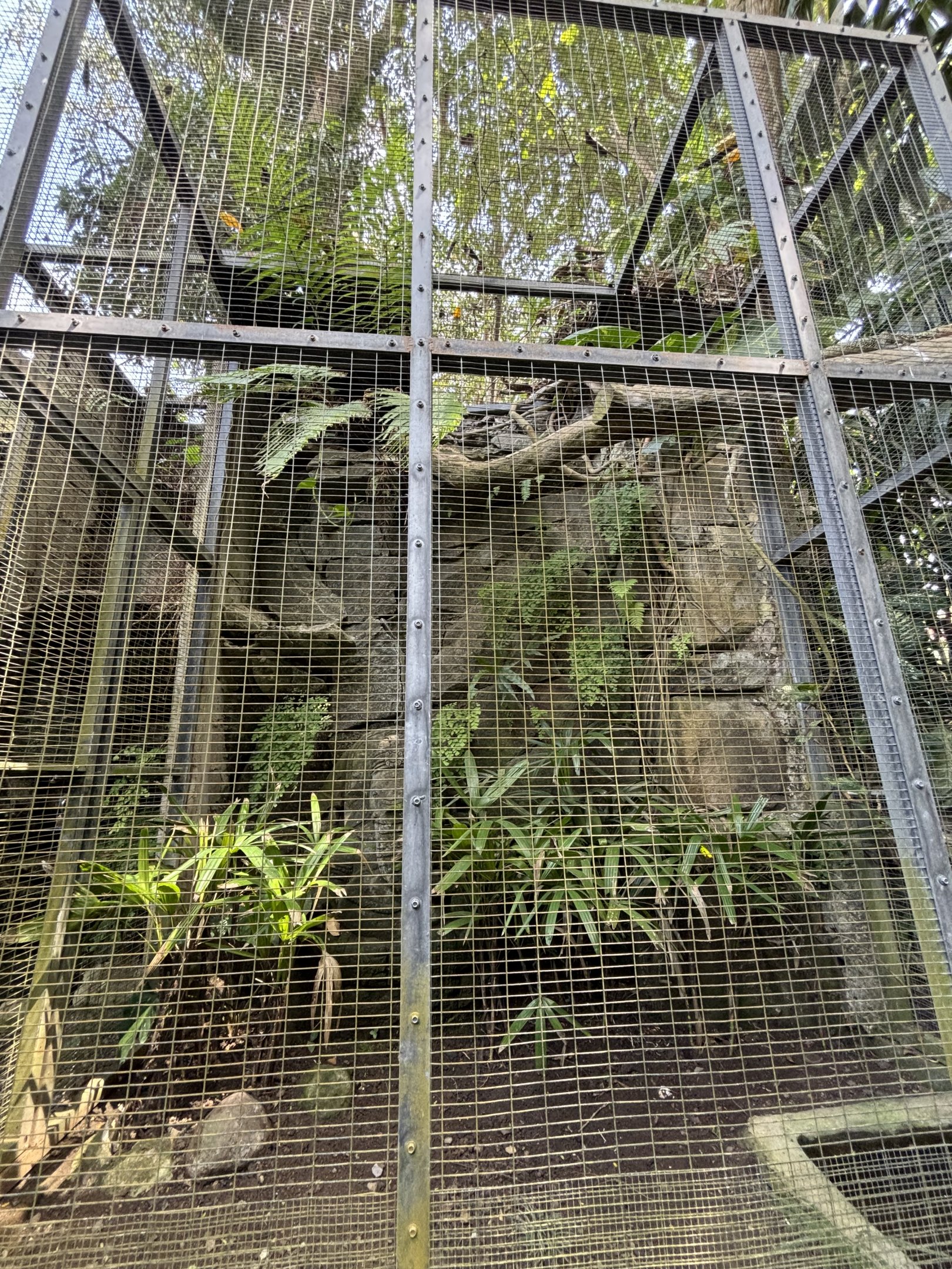 Quince Monitor Exhibit