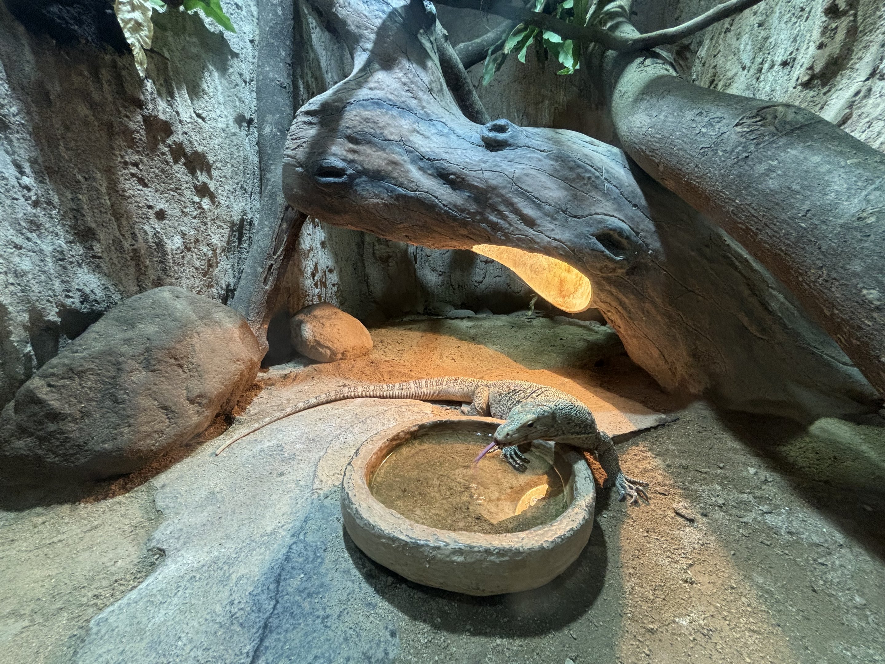 Quince Monitor Exhibit