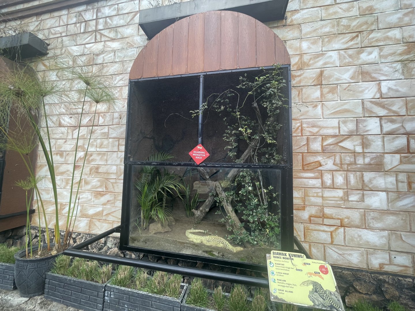 quince monitor exhibit