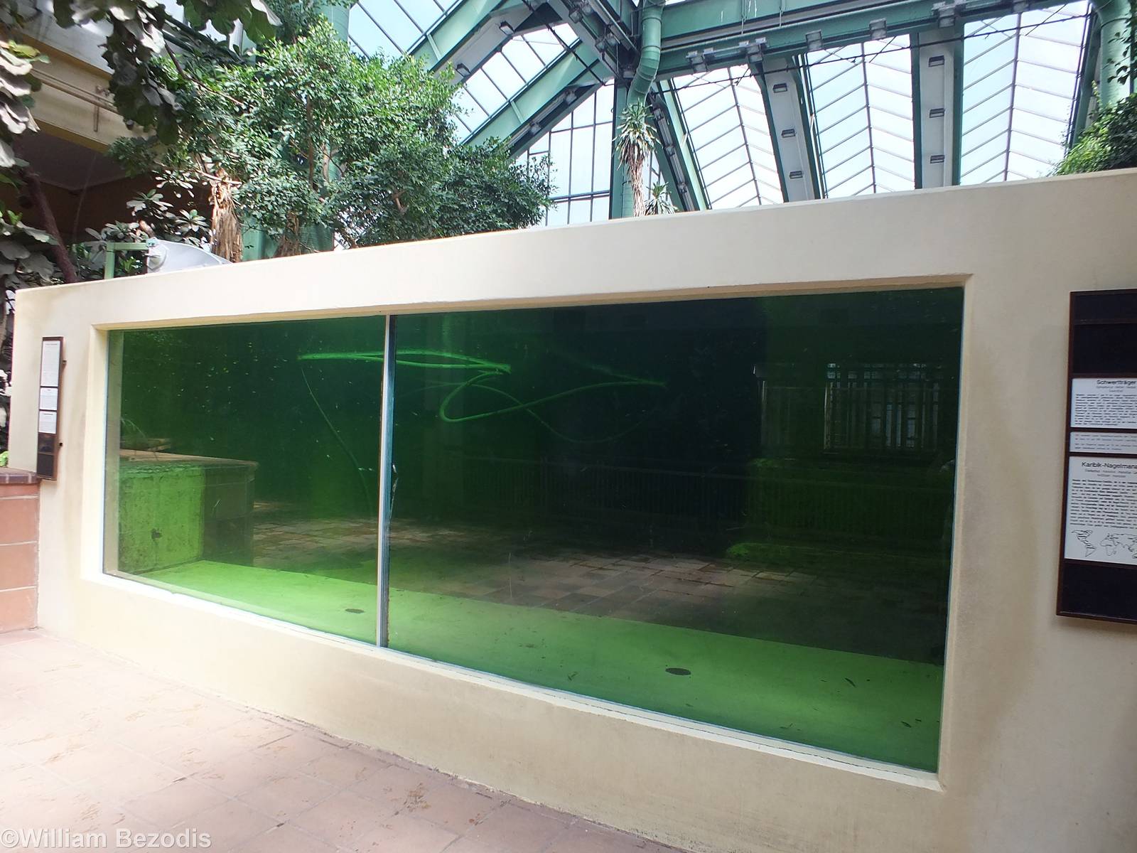 Quite Small Manatee Enclosure