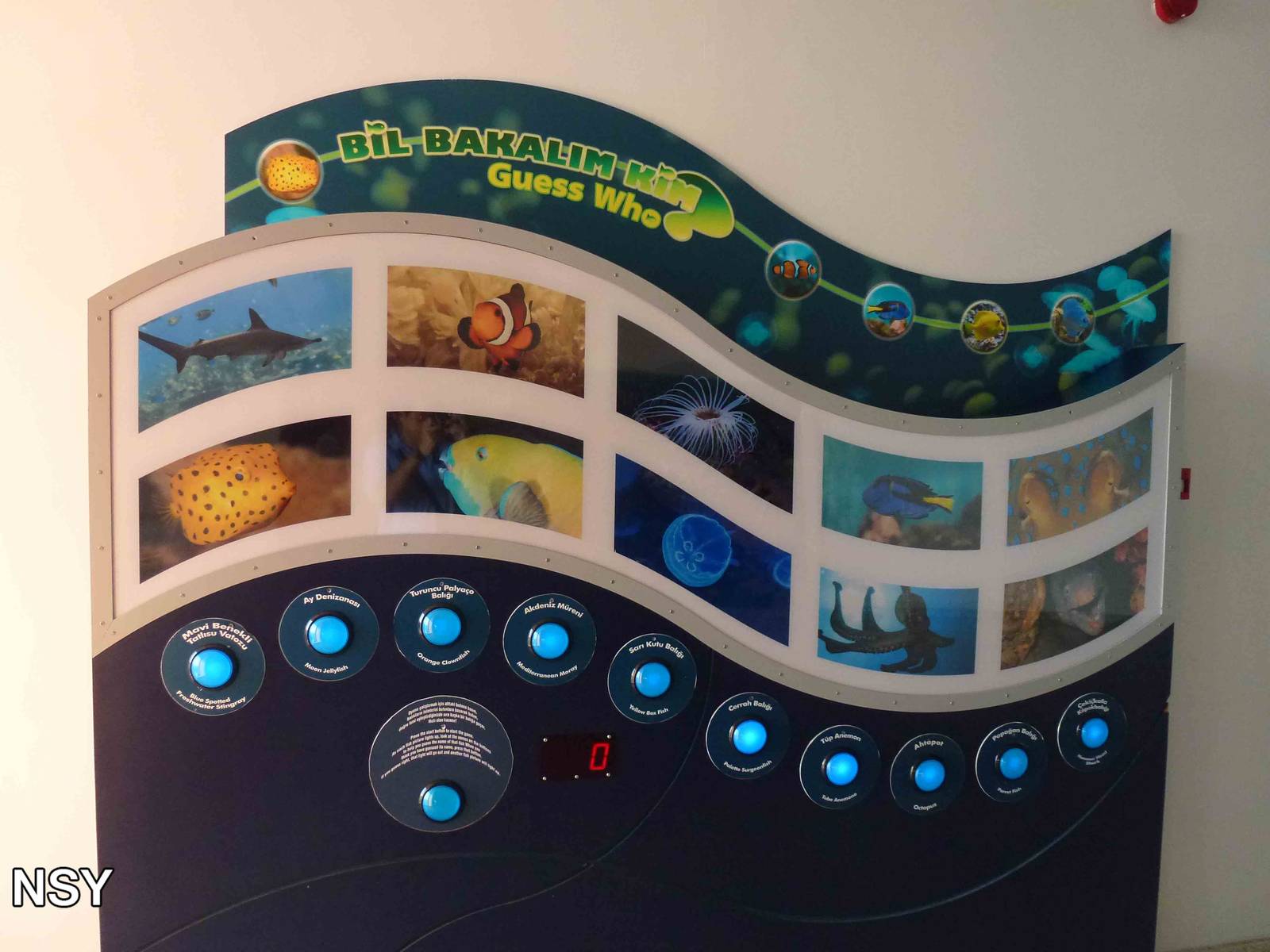 Quiz board, June 2013.