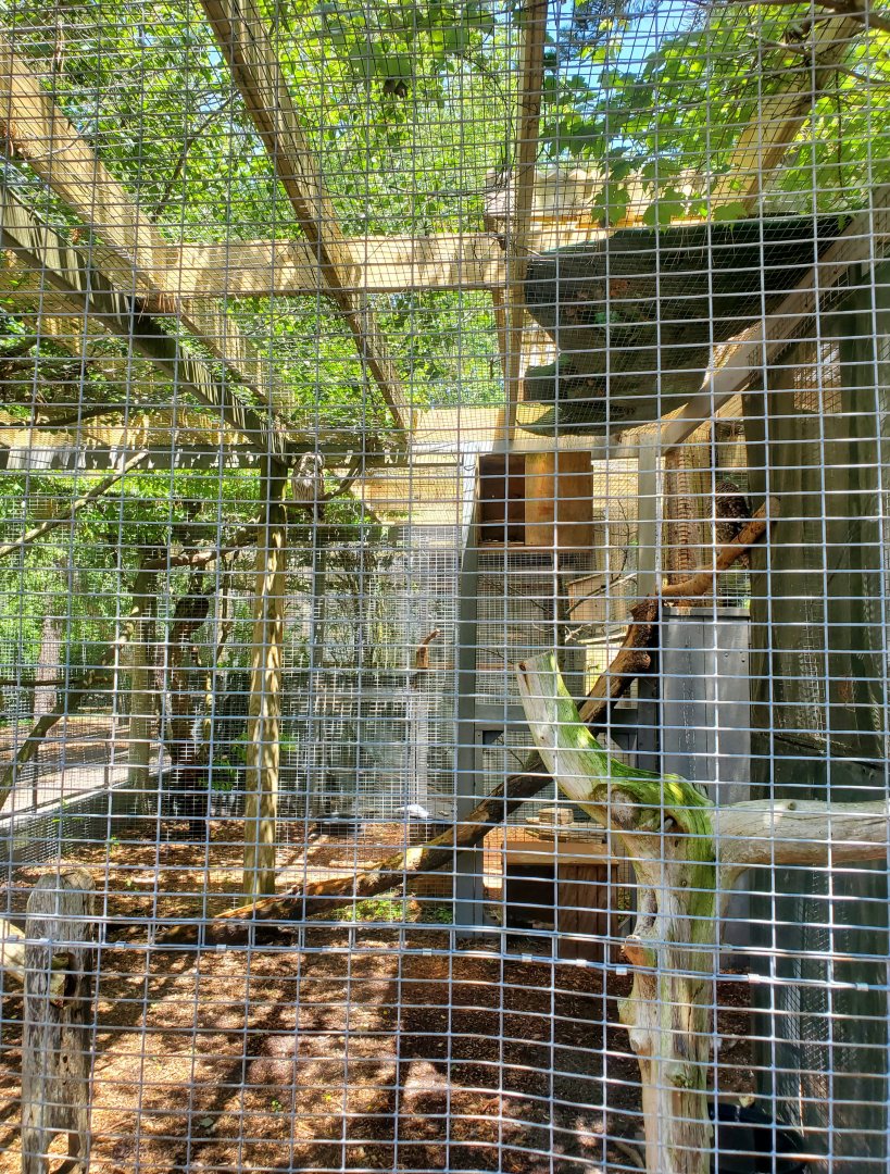 Quogue Wildlife Refuge (2022) - Barred Owl enclosure
