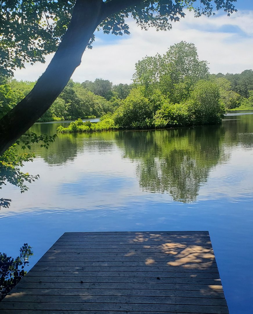 Quogue Wildlife Refuge (2022) - Lake view