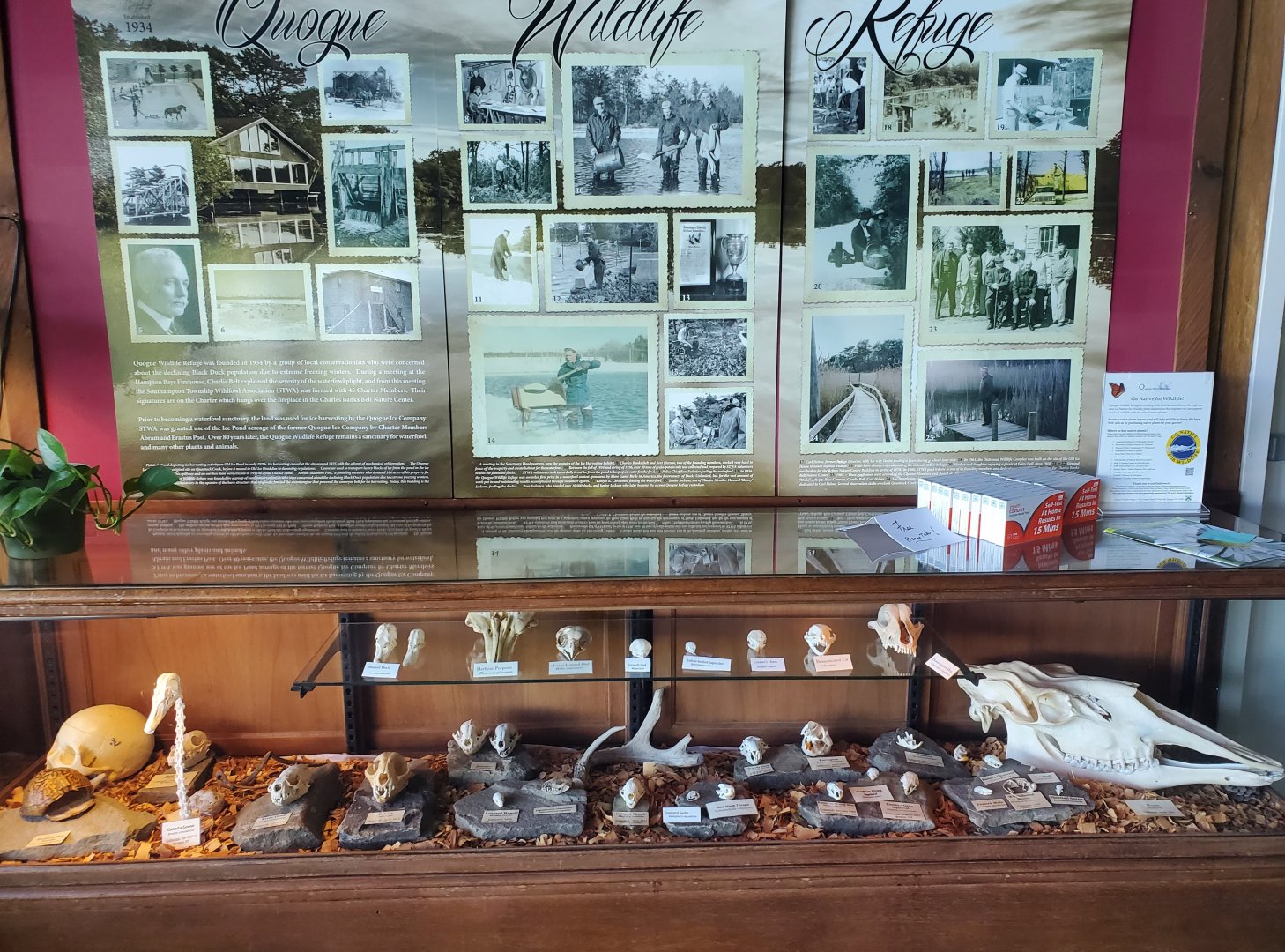 Quogue Wildlife Refuge (2022) - Nature Center displays
