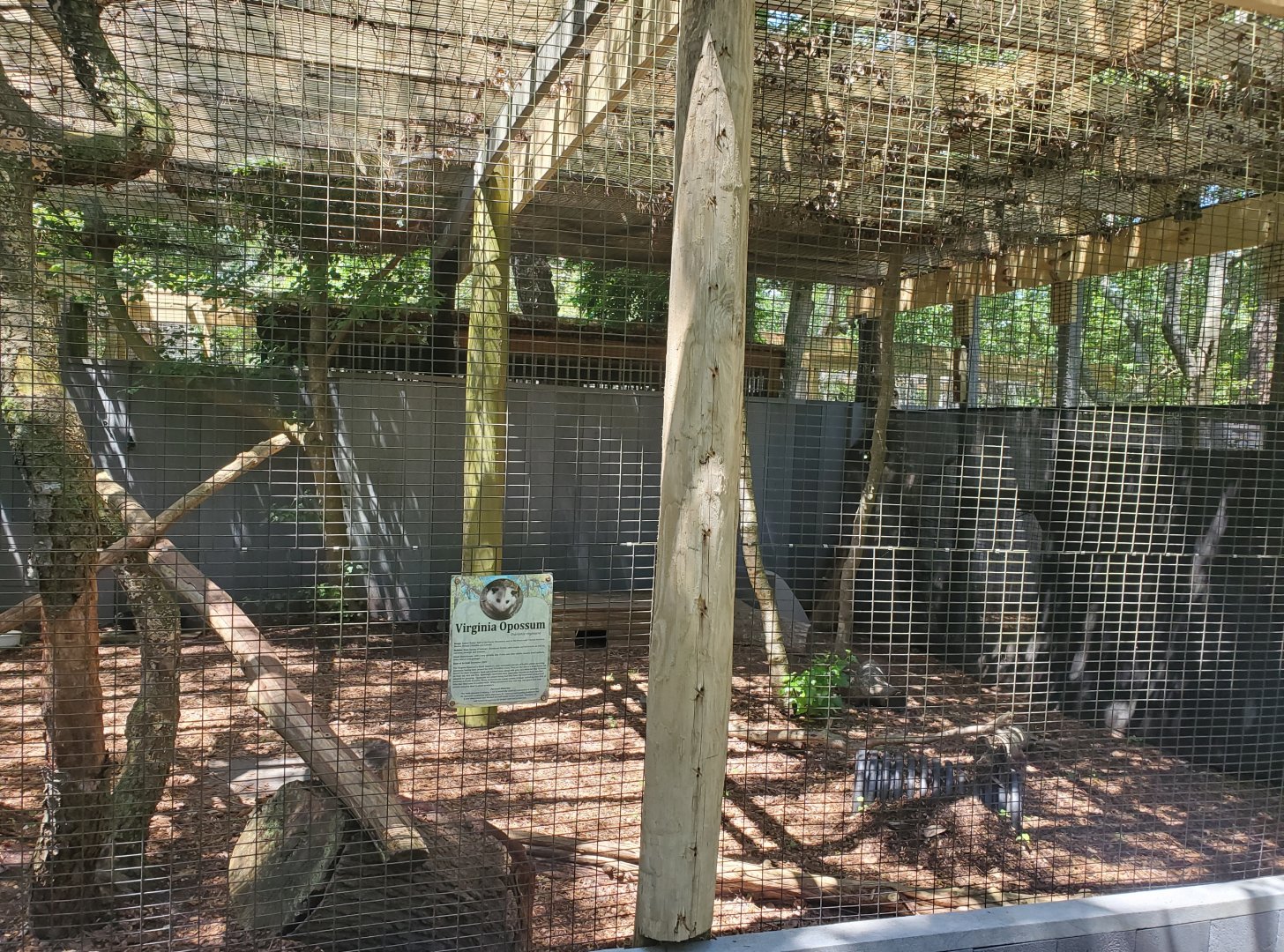 Quogue Wildlife Refuge (2022) - Opossum enclosure