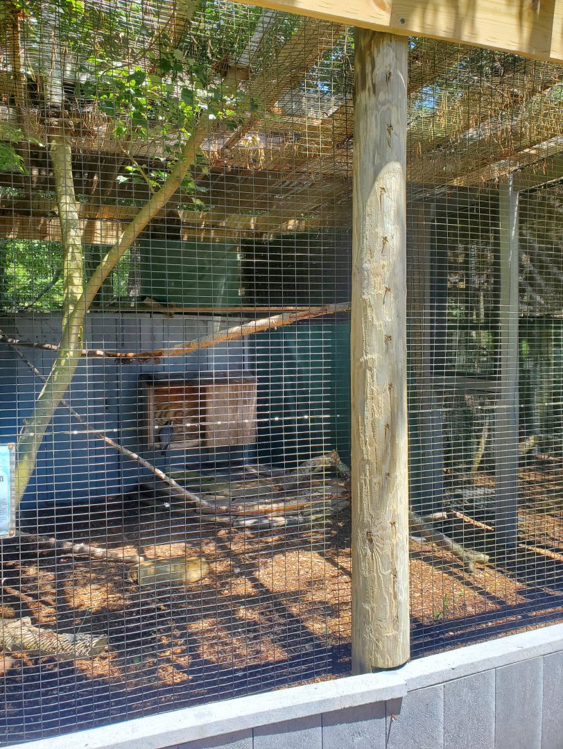 Quogue Wildlife Refuge (2022) - Peregrine Falcon enclosure