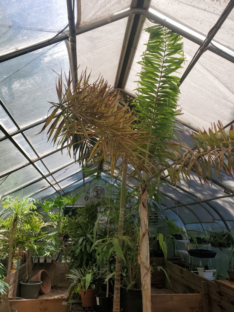 Quogue Wildlife Refuge (2022) - Tropical Greenhouse