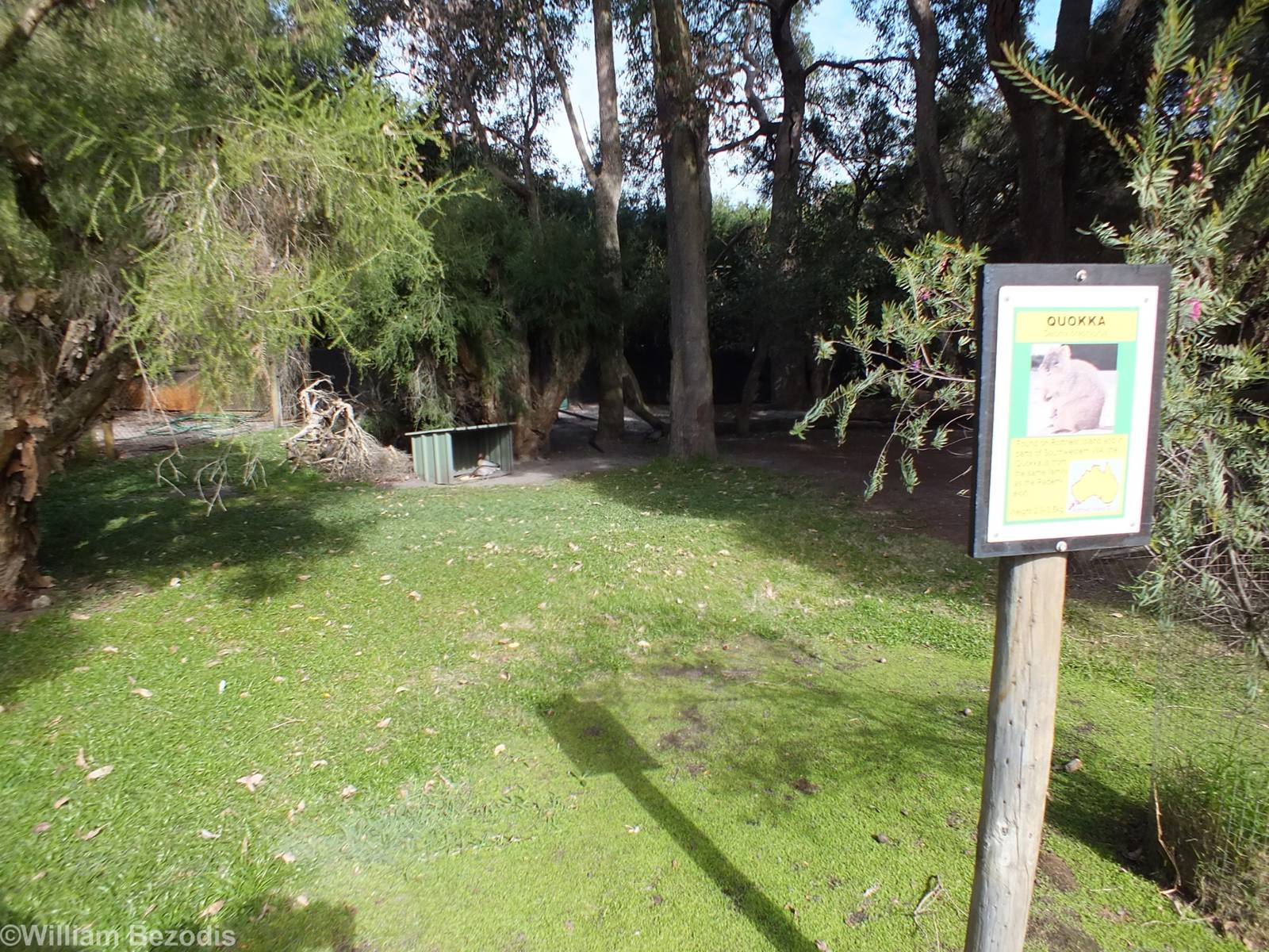 Quokka Enclosure - Caversham Wildlife Park