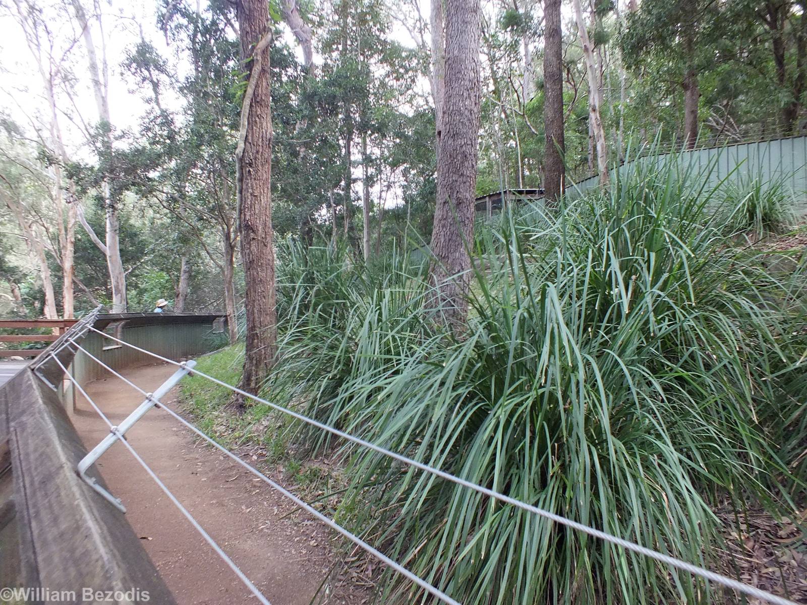 Quokka Enclosure