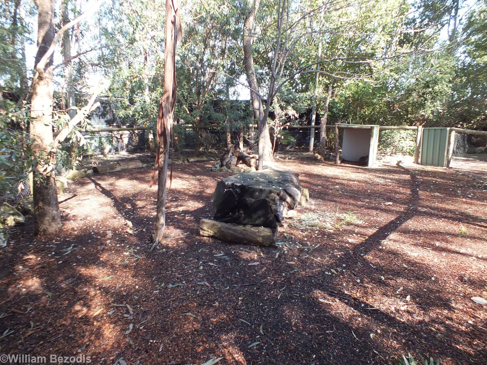 Quokka Enclosure