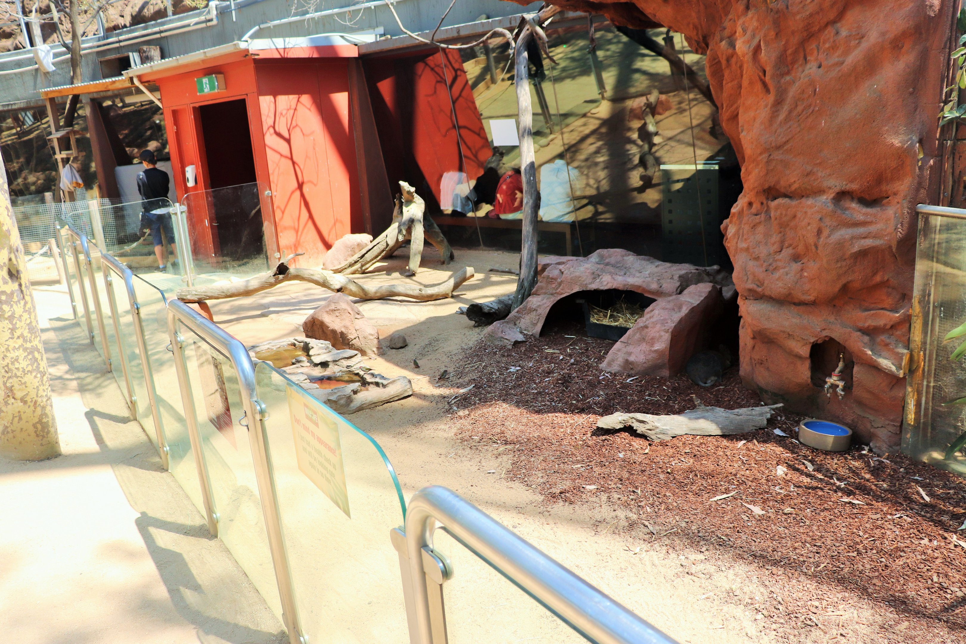 Quokka Enclosure