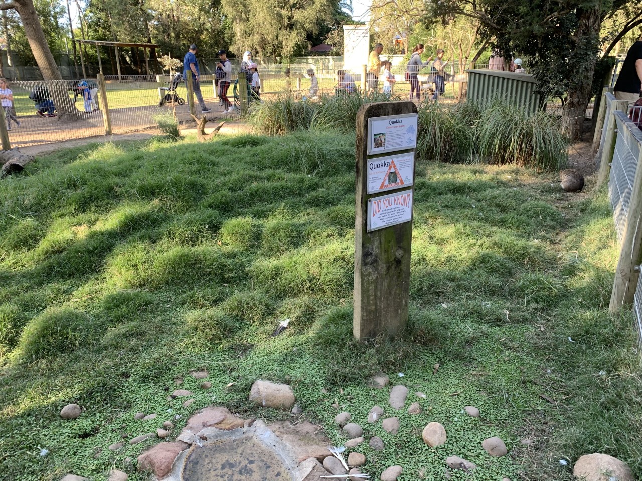 Quokka Enclosure
