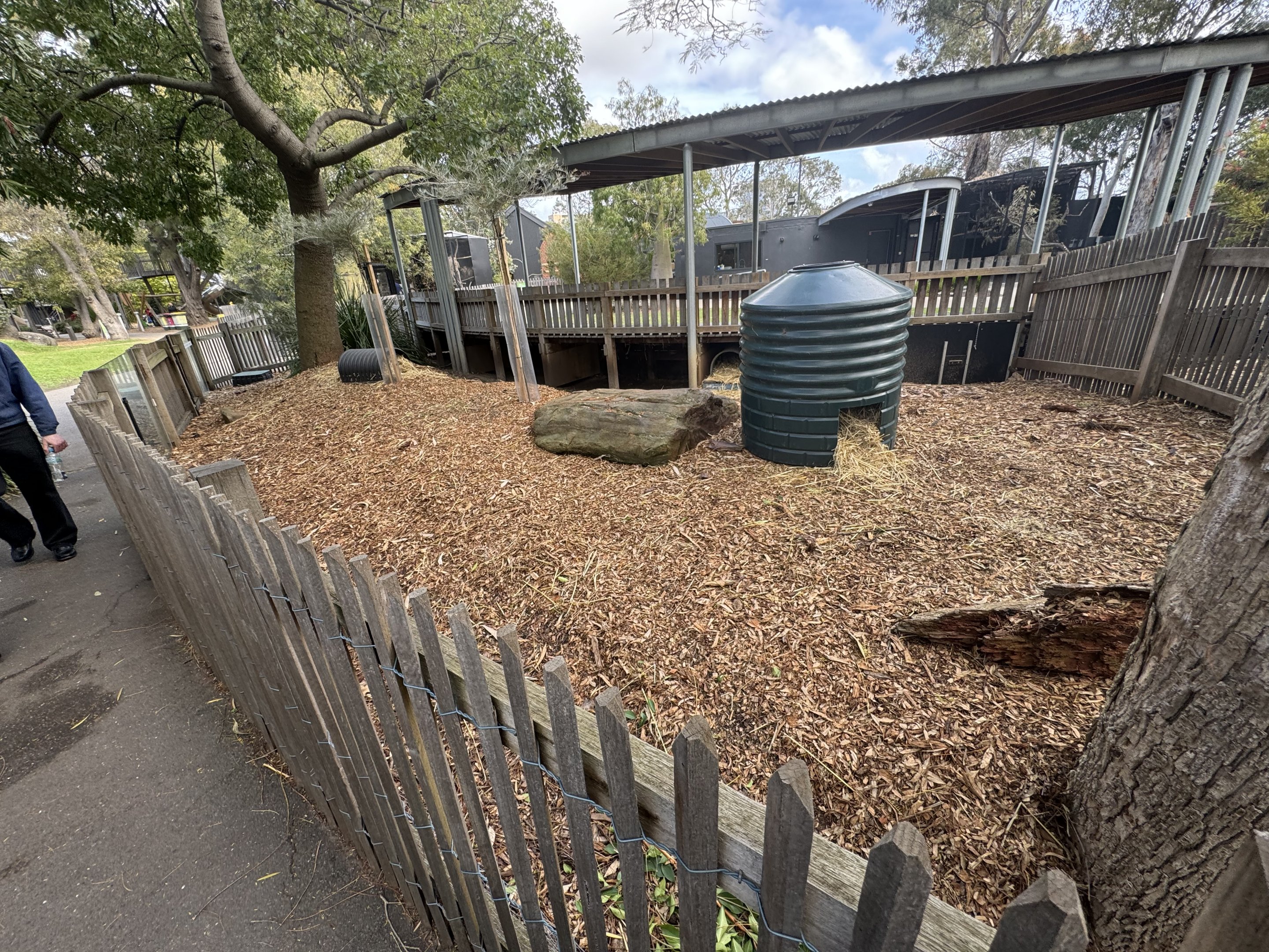 Quokka enclosure