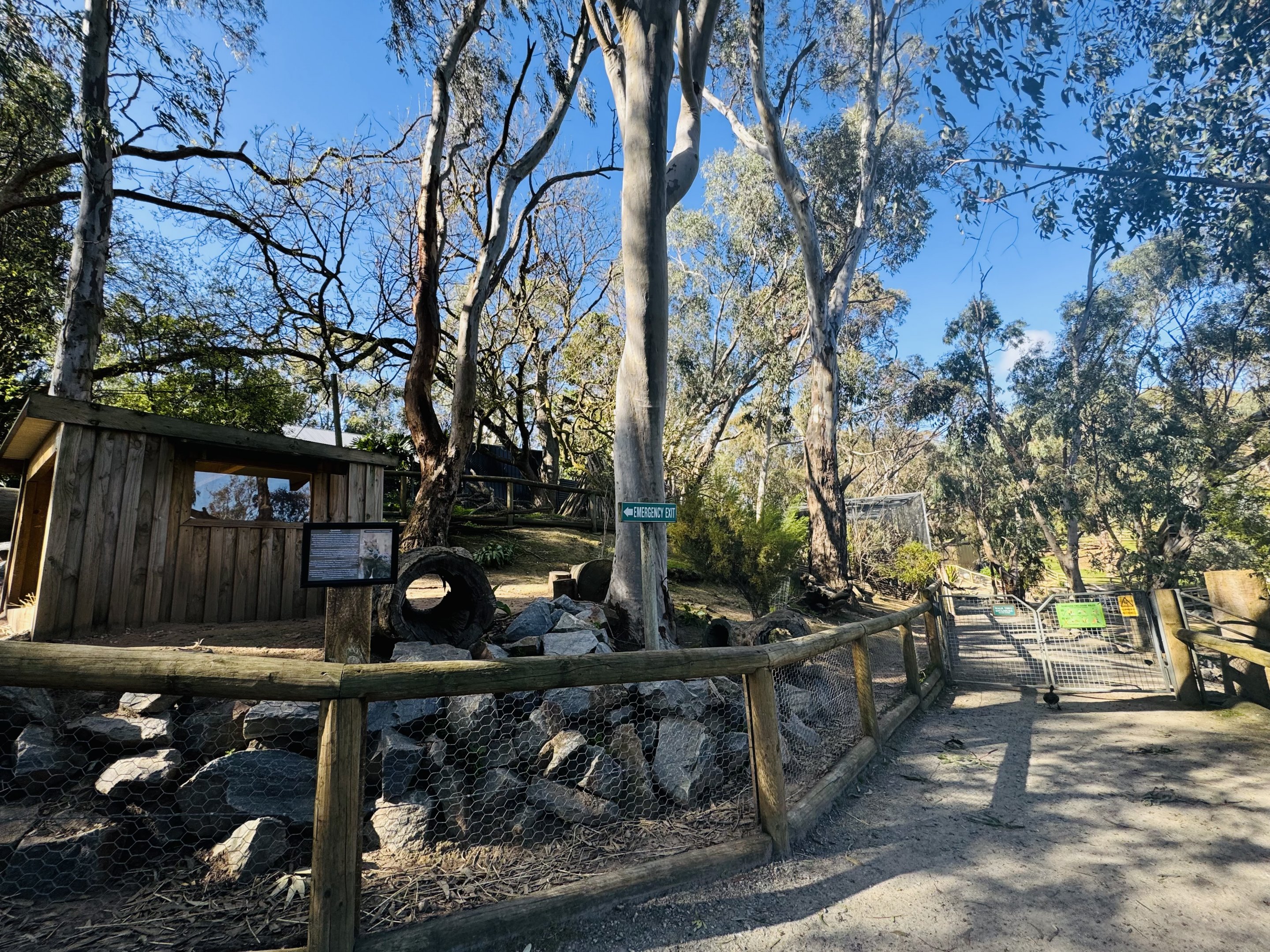 Quokka enclosure