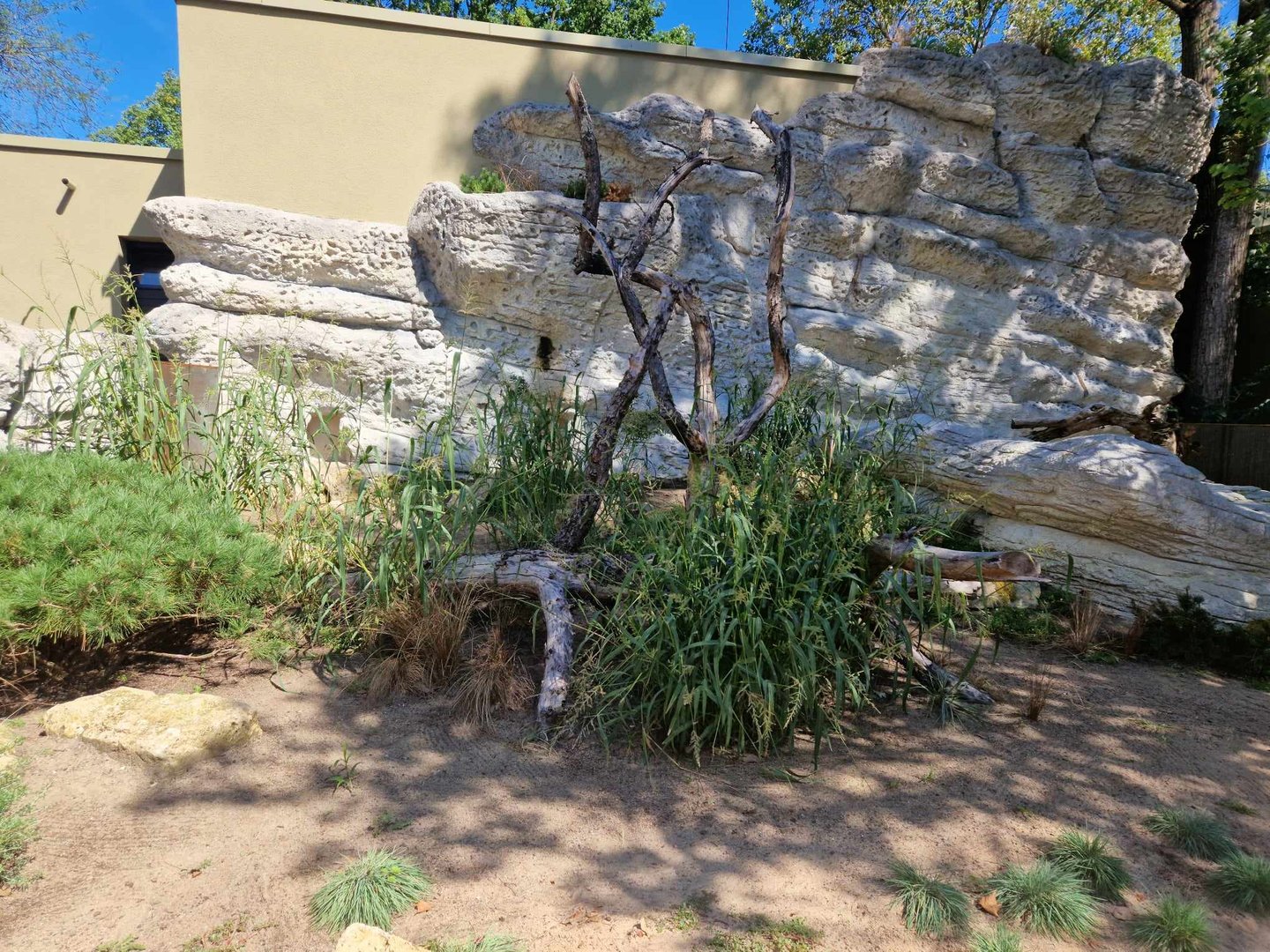 Quokka exhibit, Terra Australis