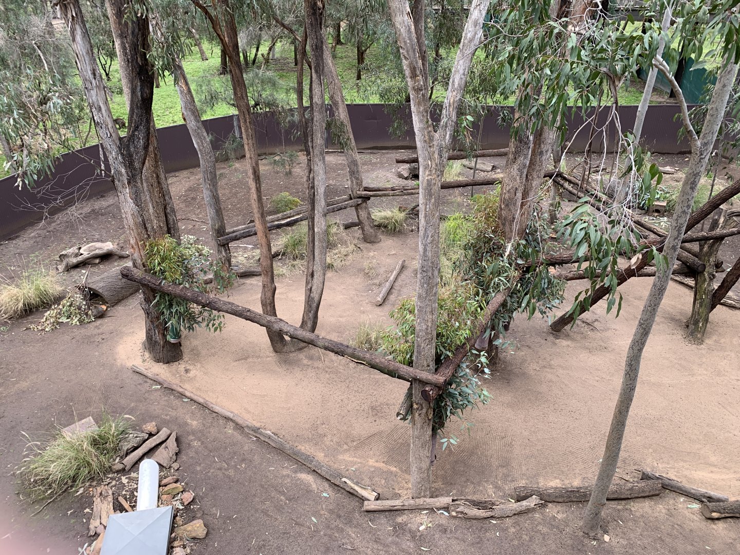 Quokka Exhibit
