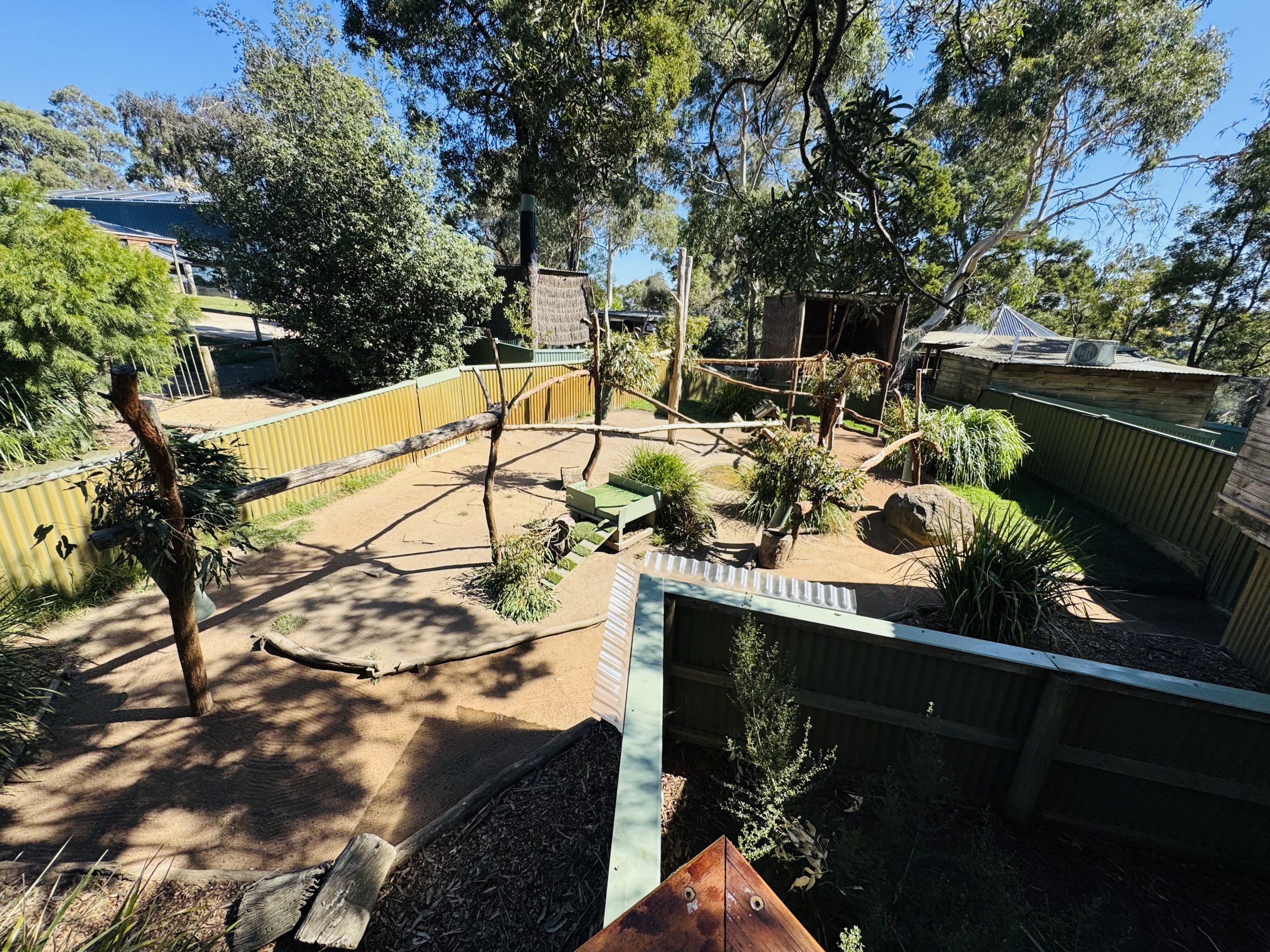 Quokka/koala enclosure