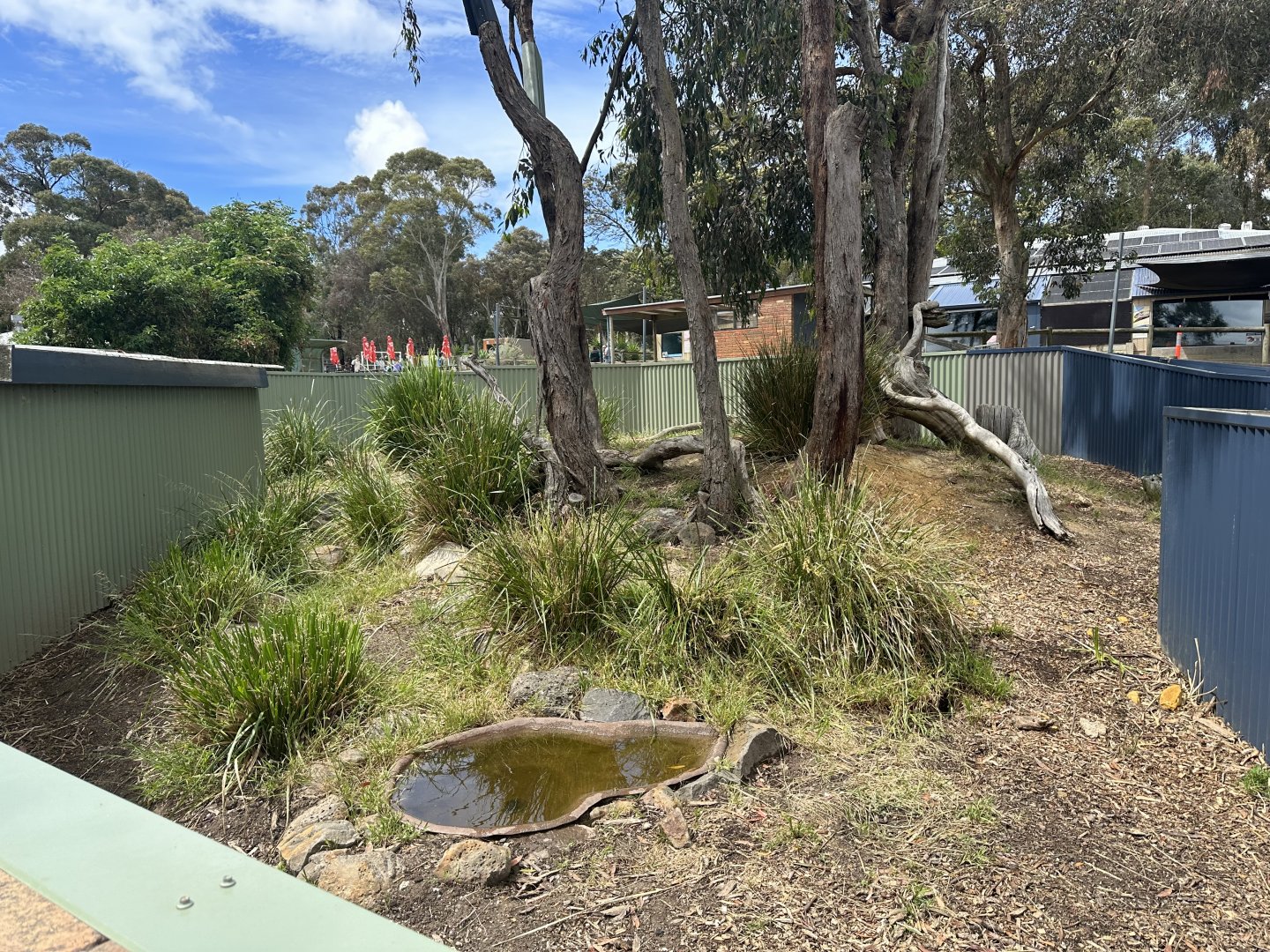 Quokka/Koala Exhibit