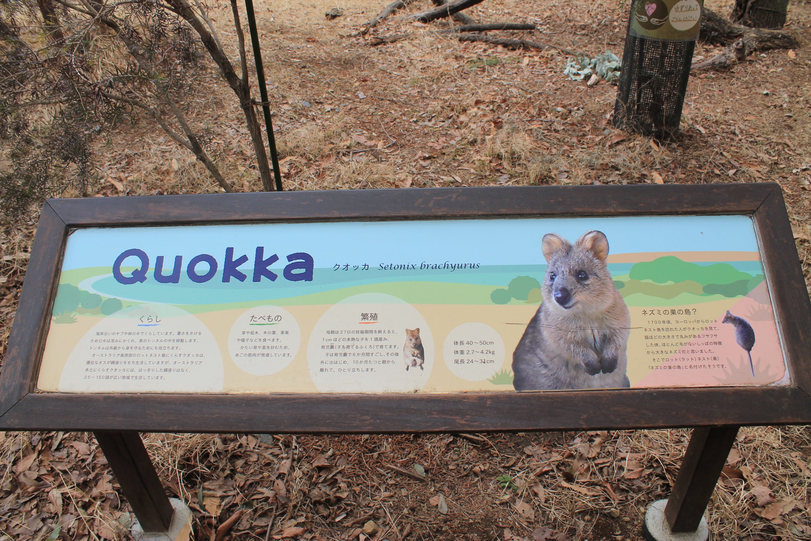 Quokka signage - Saitama Childrens Zoo