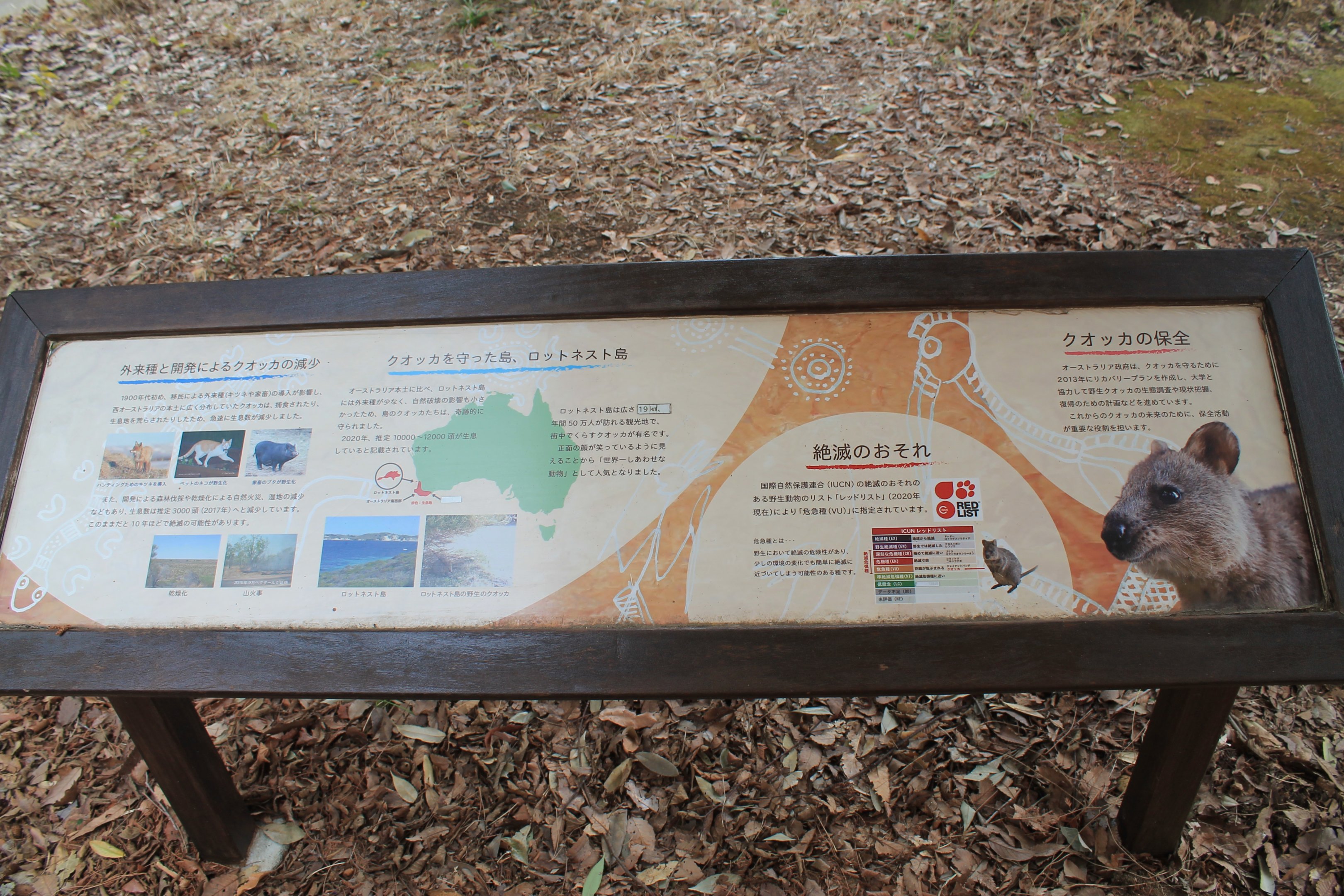 Quokka signage - Saitama Childrens Zoo