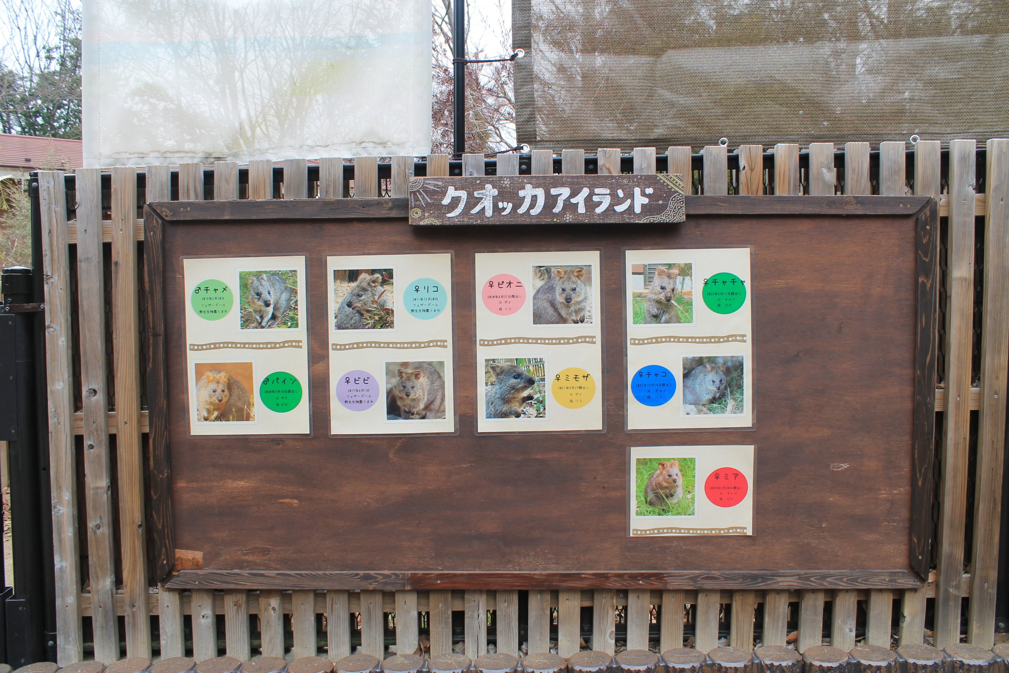 Quokka signage - Saitama Childrens Zoo