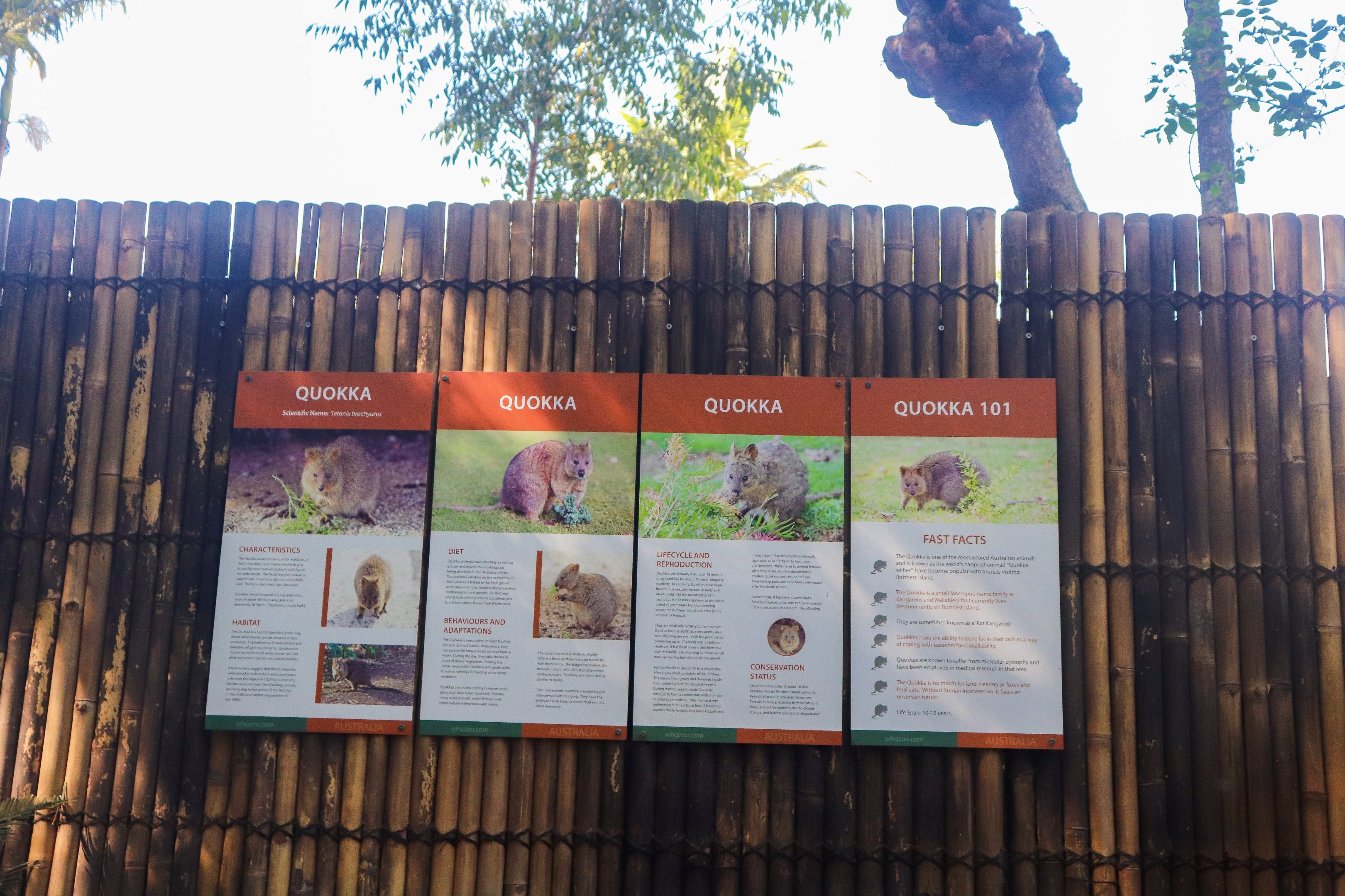 Quokka Signage
