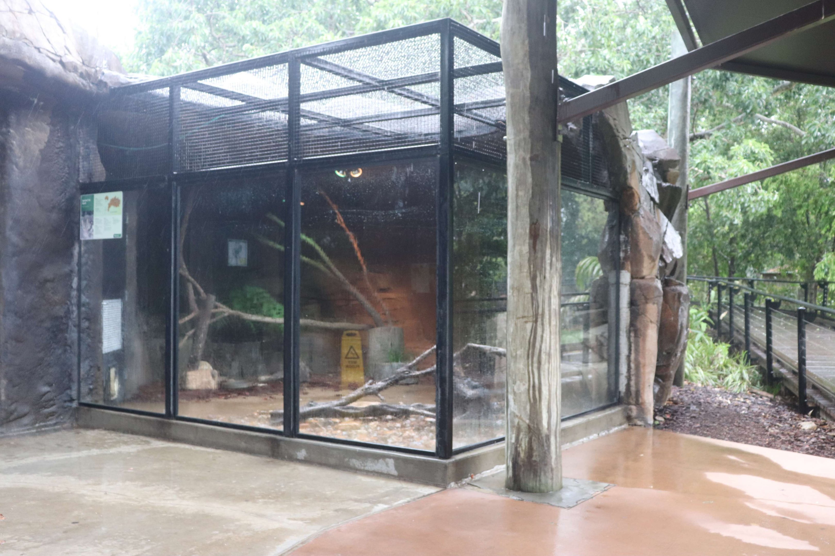Quoll Enclosure