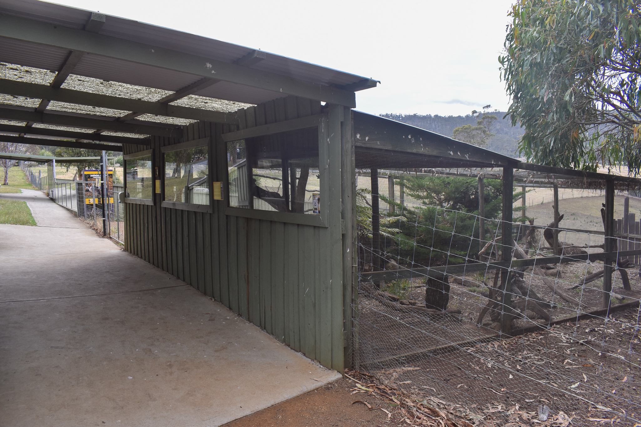 Quoll enclosures