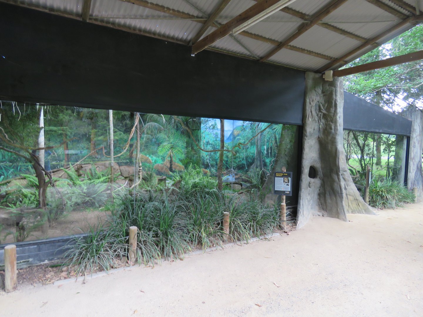 Quoll Exhibit