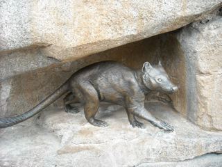 quoll sculpture