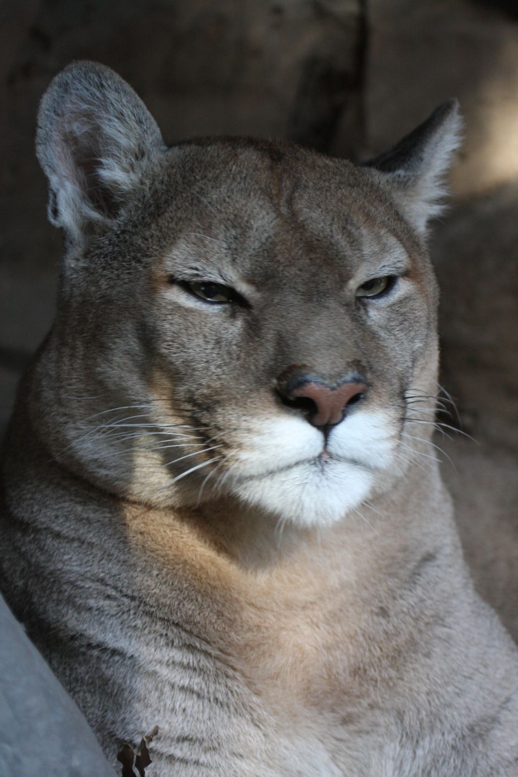 "It's not even noon? Away with you!"