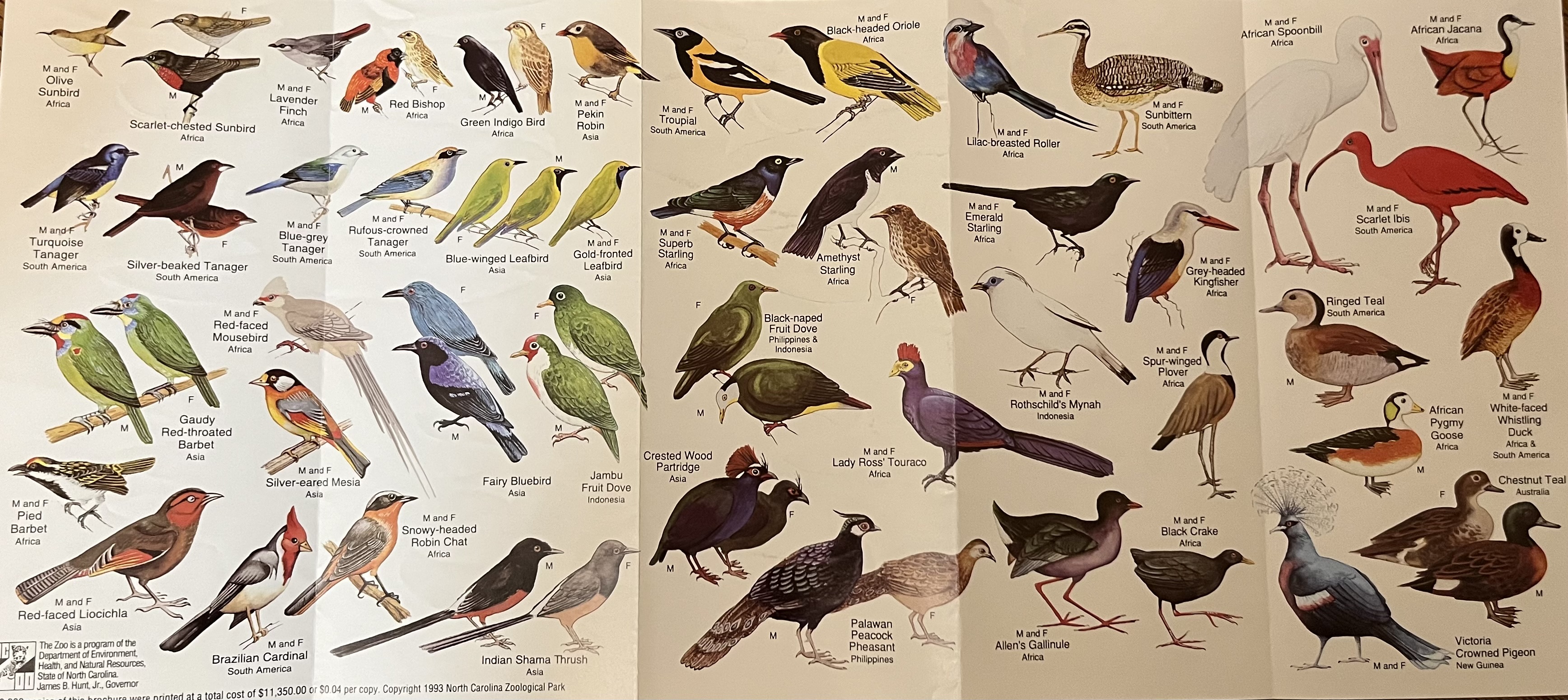R.J. Reynolds Forest Aviary - Species List
