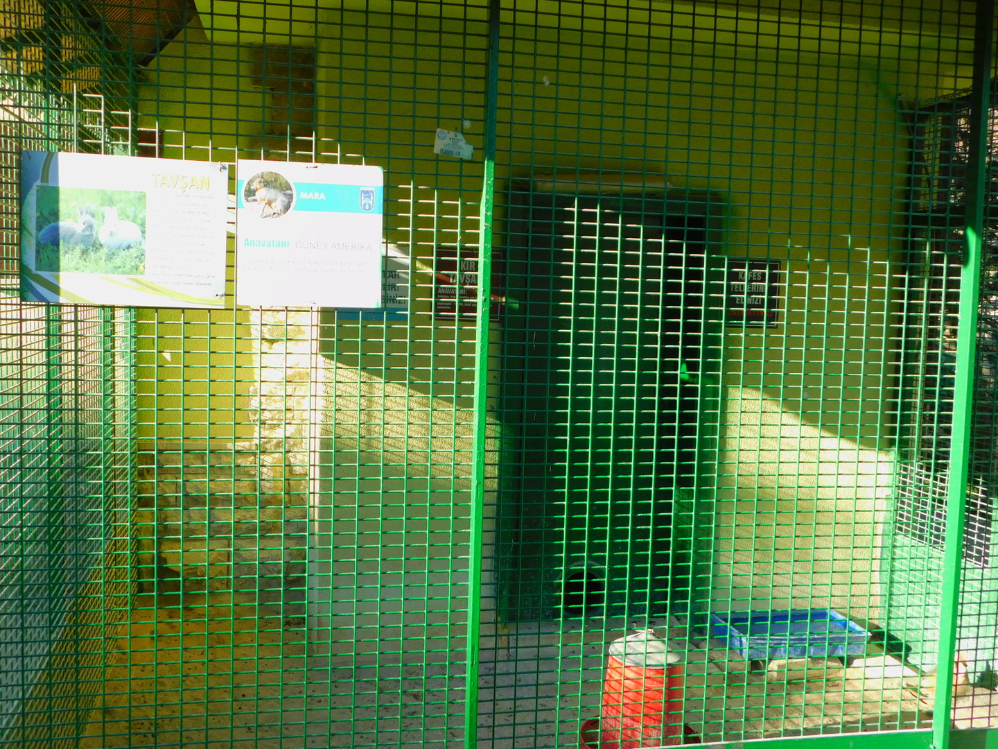 Rabbit (and Mara) Enclosure at the Ankara Domestic Animal Park