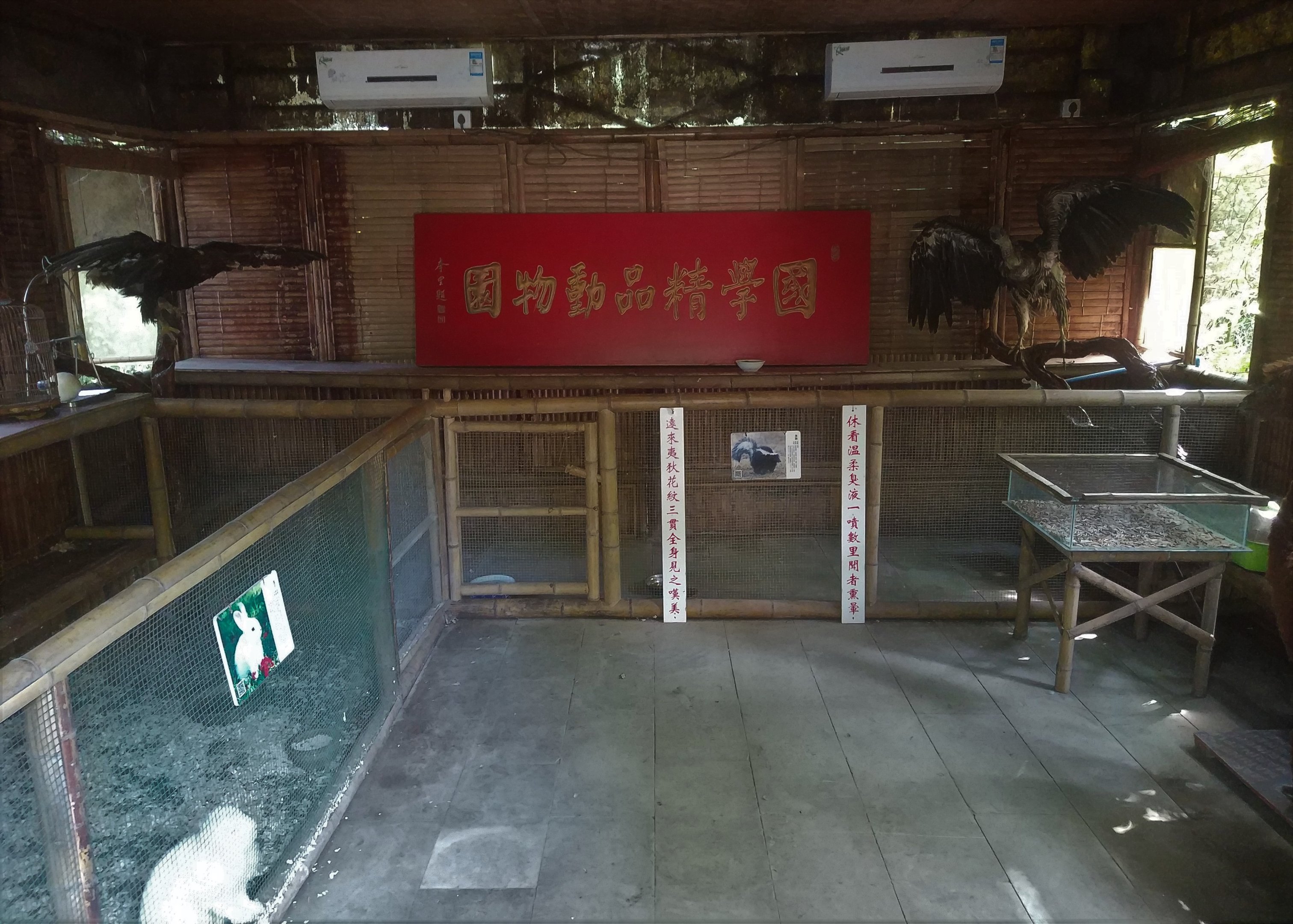 Rabbit and Skunk Exhibits