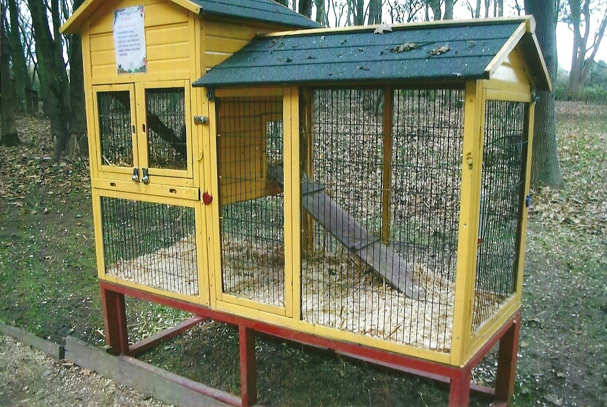 Rabbit cage, 1st November 2013
