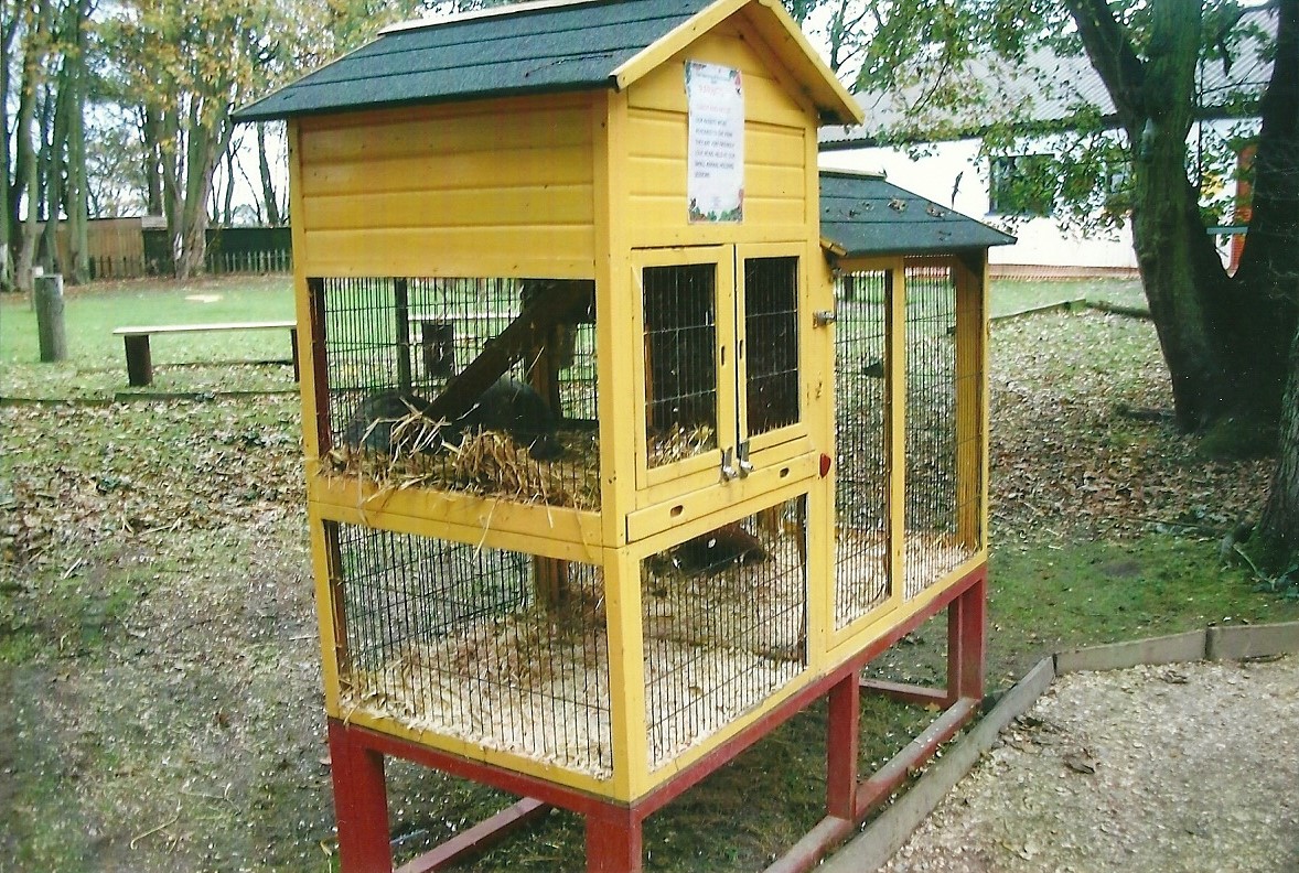 Rabbit cage, 1st November 2013