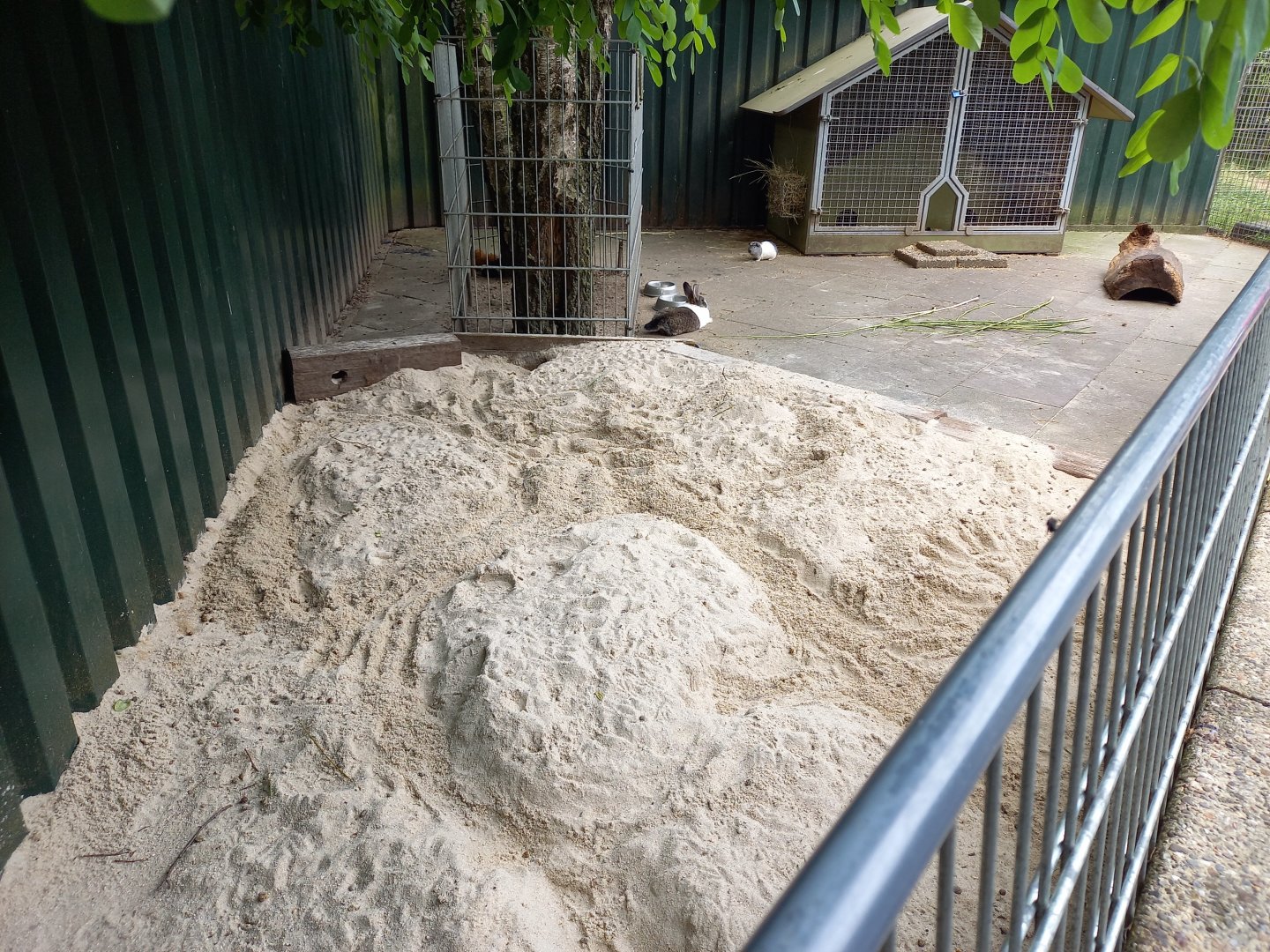 Rabbit - Cavy enclosure