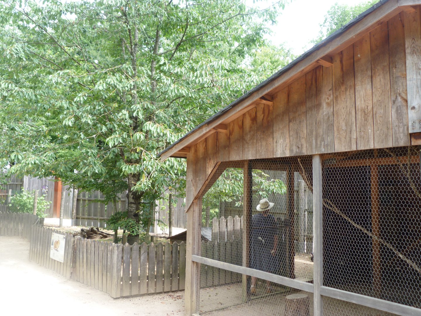 Rabbit, chicken and guineafowl coop -Zoodyssée (2025)