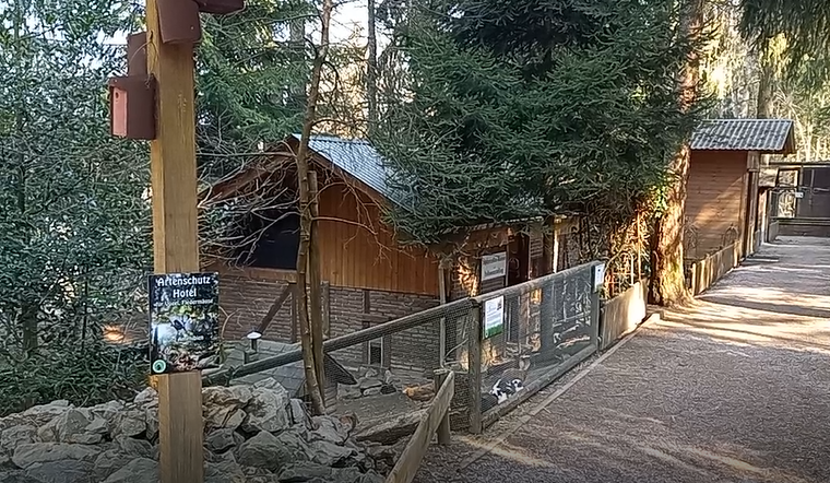 Rabbit - Domestic fowl enclosure