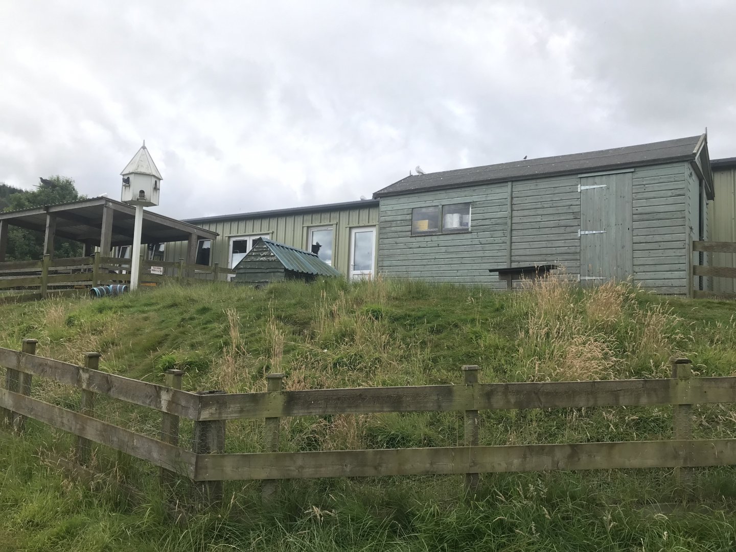 Rabbit & dove enclosure
