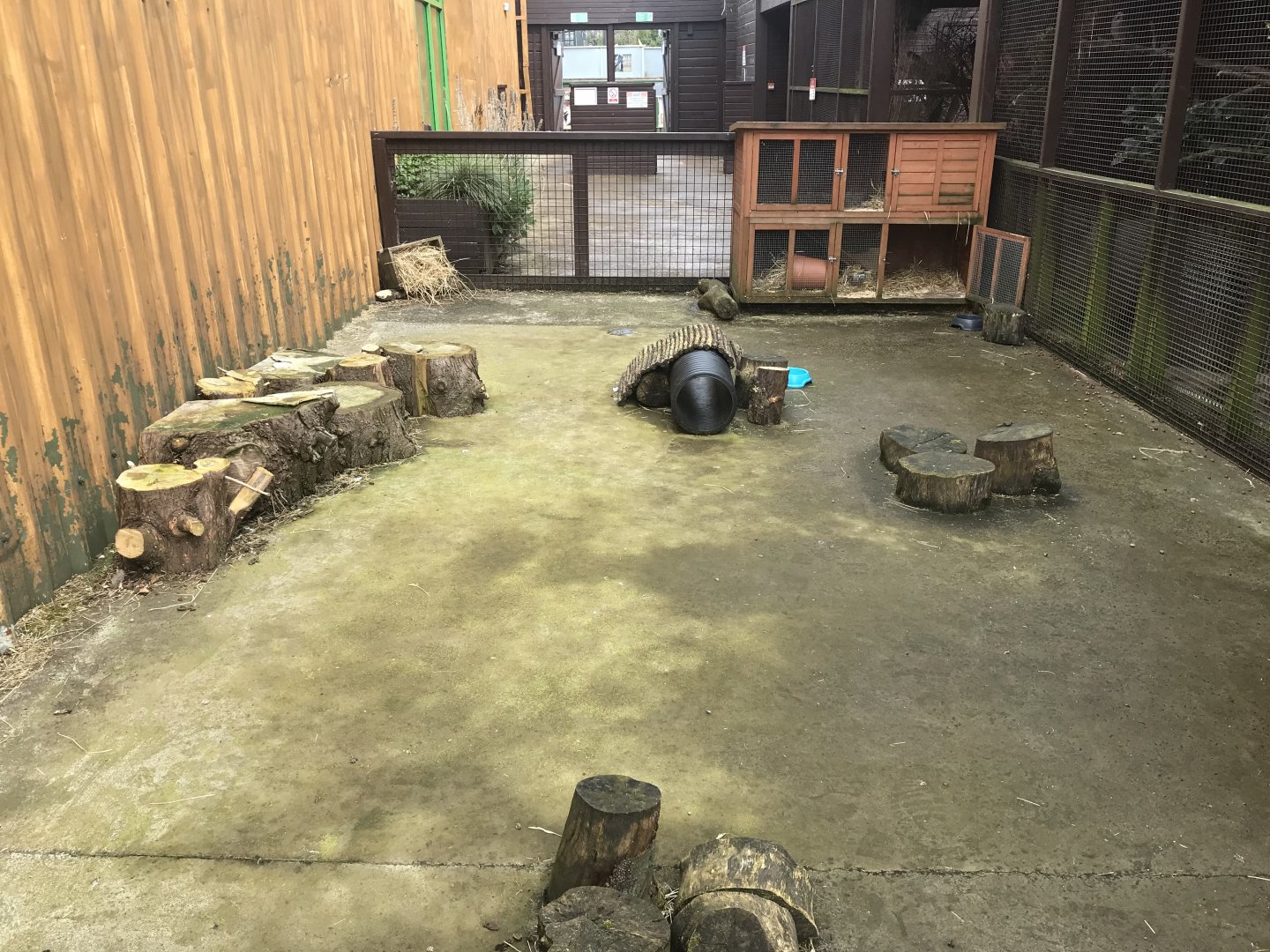 Rabbit enclosure (4)