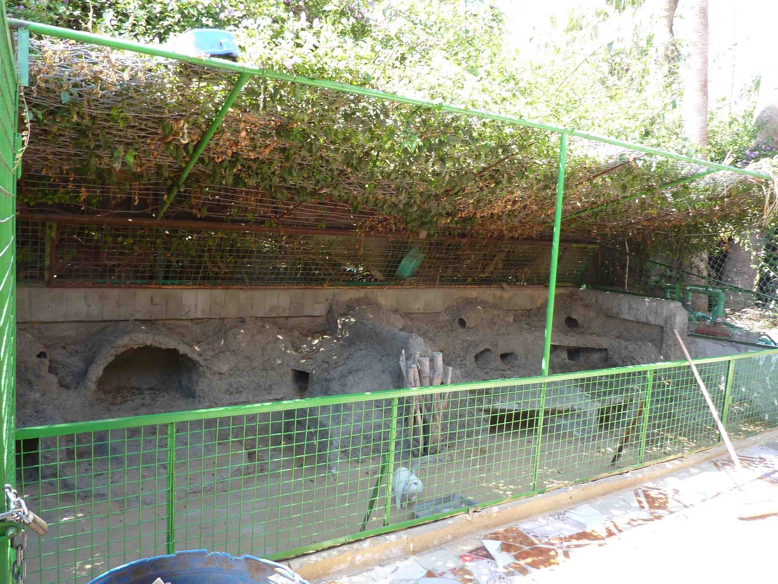 Rabbit enclosure, April 2013.